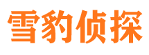 鼎城市调查公司